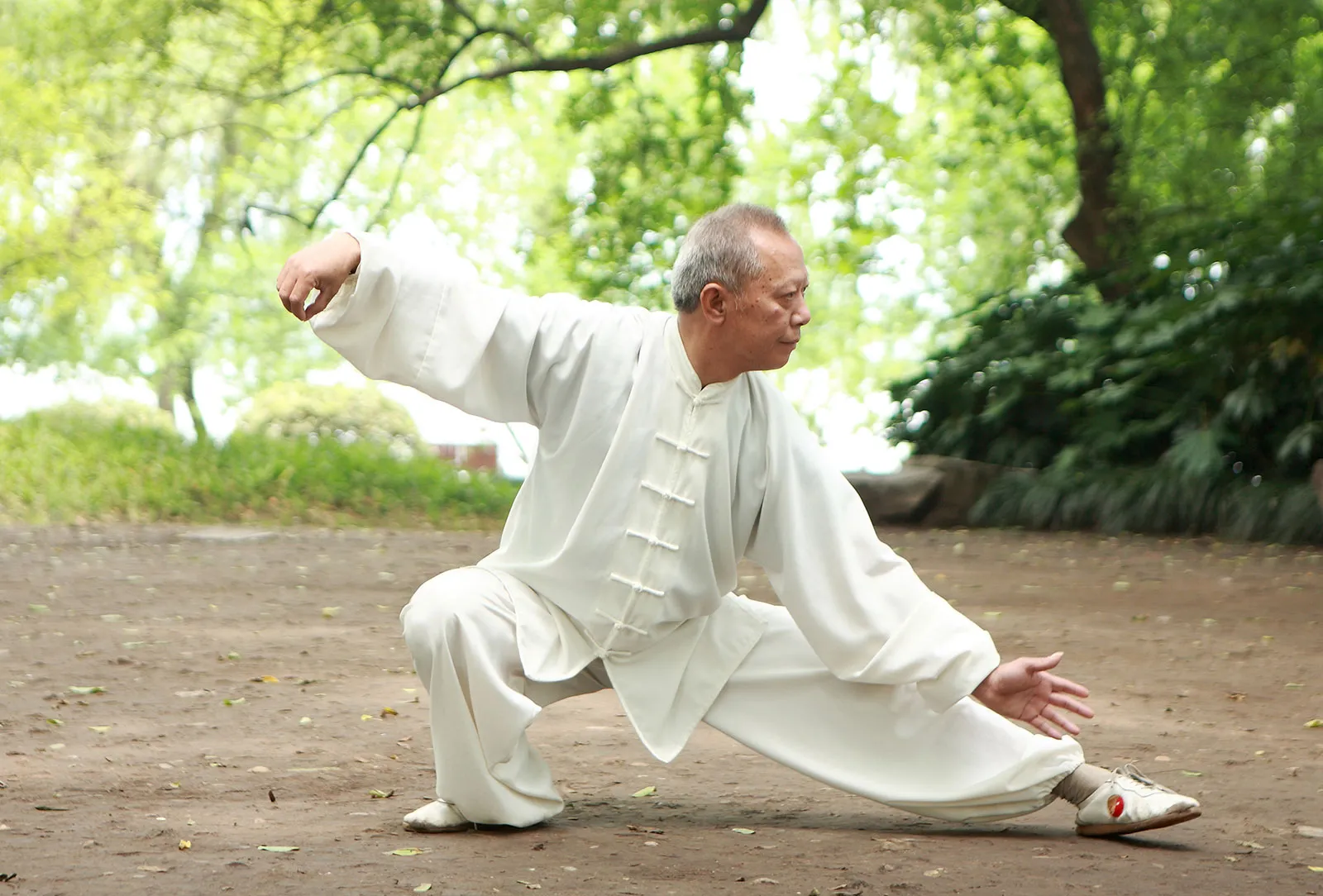 Uomo che pratica Tai Chi in un parco